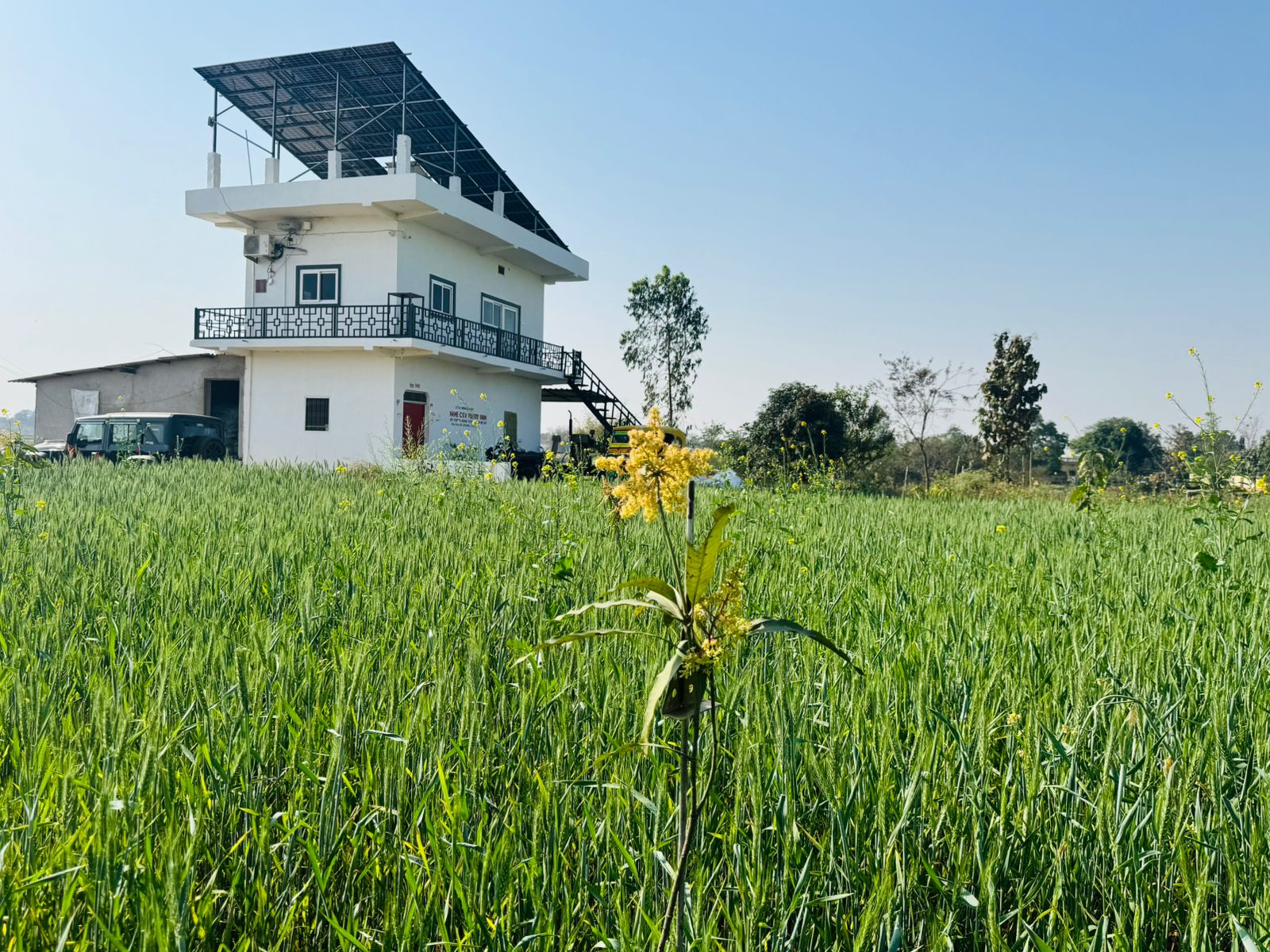 Villa Solar